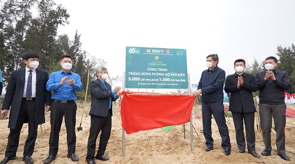 Chương trình “1 triệu cây xanh”: BIDV trồng 6.500 cây phòng hộ ven biển tại Nghệ An