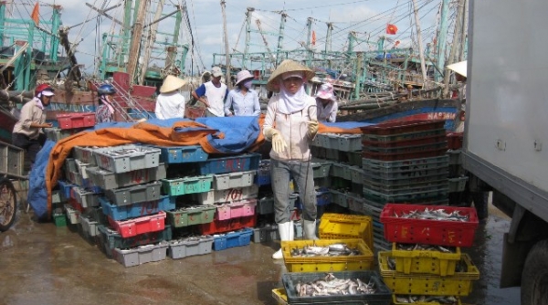 Hà Tĩnh: Cấp mới gần 1.000 giấy phép khai thác thủy sản cho ngư dân
