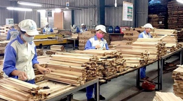 Doanh nghiệp ngành gỗ đang bước vào năm kinh doanh mới với tinh thần hứng khởi