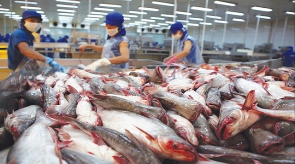 Năm 2022 phấn đấu kim ngạch xuất khẩu cá tra đạt trên 1,6 tỷ USD