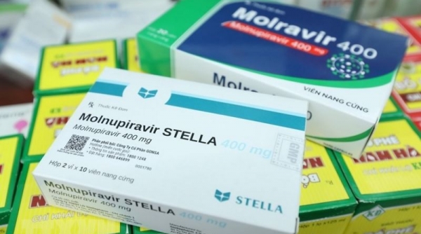 Bộ Y tế bổ sung hướng dẫn sử dụng thuốc Molnupiravir và Remdesivir trong điều trị Covid -19