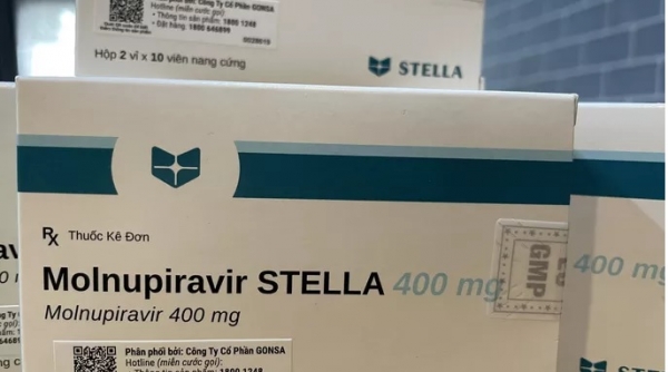 Đề xuất 02 phương án cung ứng thuốc Molnupiravir điều trị Covid-19