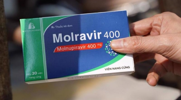 Sở Y tế Hà Nội chỉ đạo khẩn việc kê đơn, bán thuốc Molnupiravir