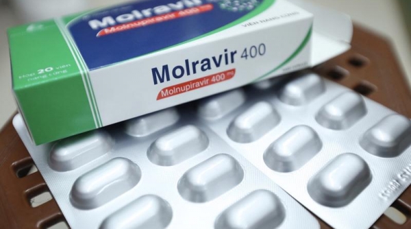 Bộ Y tế đề xuất cho nhà thuốc được kê đơn thuốc Molnupiravir điều trị Covid-19
