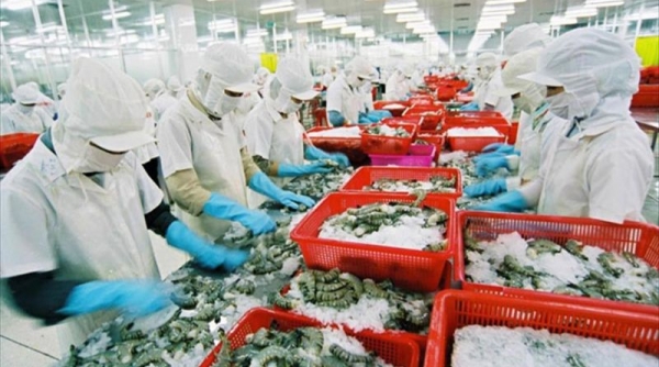 Việt Nam đứng vị trí thứ 12 cung cấp thủy sản các loại cho Nam Phi