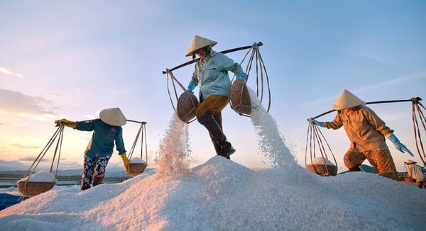 Lý giải nguyên nhân khiến Việt Nam phải nhập khẩu hàng tỷ USD muối mỗi năm