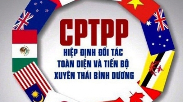 Doanh nghiệp Việt Nam chậm nắm bắt các ưu đãi trong CPTPP