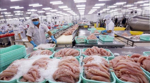 Nhật Bản áp dụng yêu cầu giấy chứng nhận khai thác cho 04 loài thủy sản từ ngày 01/12