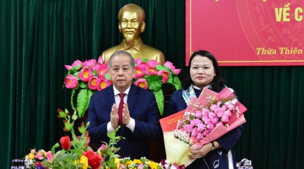 Thừa Thiên Huế: Bà Trần Thị Hoài Trâm, Chánh Văn phòng UBND tỉnh được chỉ định giữ chức Bí thư Huyện ủy Nam Đông