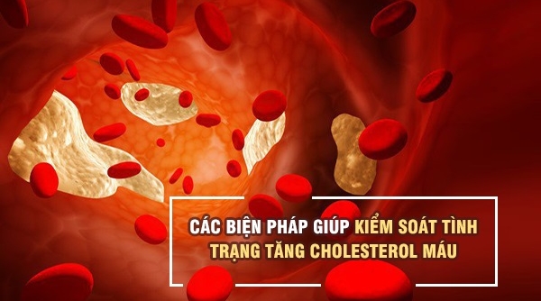 Các biện pháp giúp kiểm soát tình trạng tăng cholesterol máu