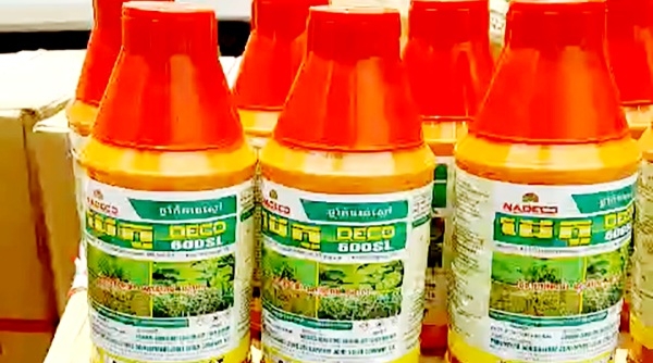 Phát hiện xe ô tô chở 320 chai thuốc Bảo vệ thực vật chứa chất cấm tại An Giang