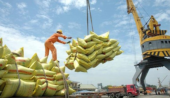 Xuất khẩu gạo Việt Nam quý I/2022 tăng trưởng ở mức hai con số