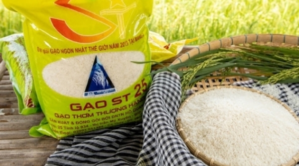 Giá gạo Việt Nam dẫn đầu trong các nước xuất khẩu gạo
