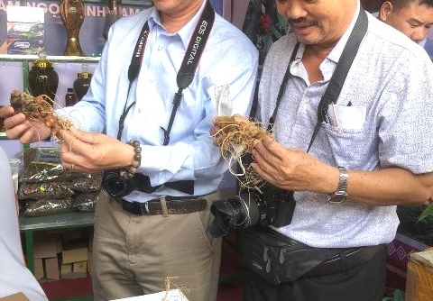 Kon Tum: Phiên chợ sâm Ngọc Linh đầu tiên đạt doanh thu hơn 30 tỷ đồng