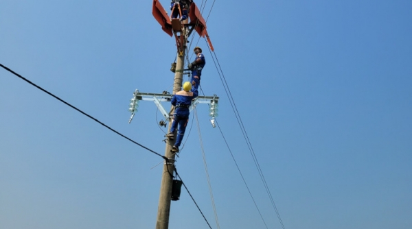 PC Thái Bình: Điện lực Thái Thụy tăng cường thi công hotline bằng phương pháp platform trên lưới điện 22kV