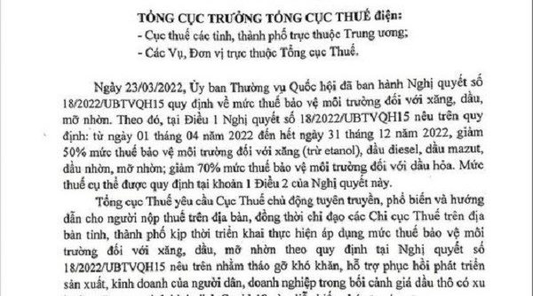 Lũy kế 03 tháng Hải Phòng đã thu nộp vào ngân sách đạt 30% dự toán