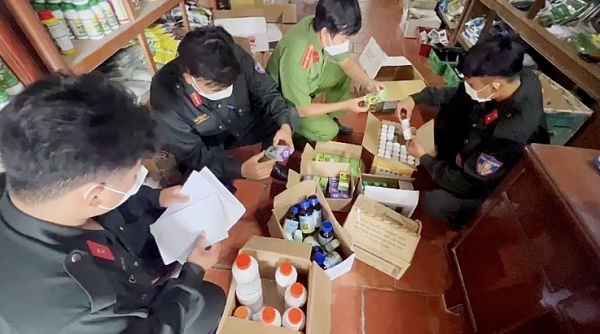 Tạm giữ 20.750 sản phẩm thuốc bảo vệ thực vật và phân bón không rõ nguồn gốc tại An Giang