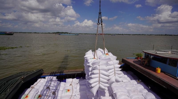 Kim ngạch xuất khẩu gạo của Việt Nam vượt mốc 1 tỉ USD