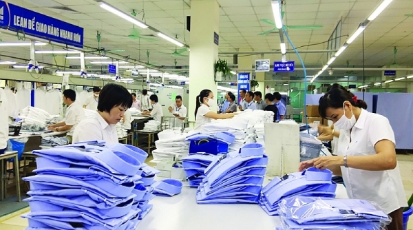 Giao thương trực tuyến sản phẩm thời trang Việt Nam - Nam Mỹ