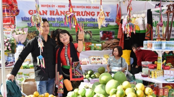Festival trái cây và sản phẩm OCOP Việt Nam sắp diễn ra tại TP. Sơn La