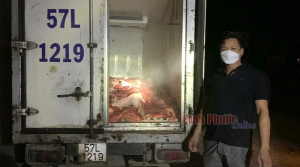 Công an Bình Phước bắt giữ xe tải chở hơn 1 tấn thịt heo bốc mùi hôi thối tại huyện Chơn Thành
