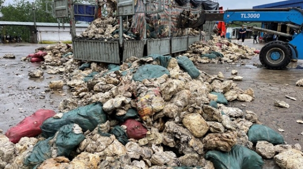 Công an kiểm tra một Công ty cao su ở Thừa Thiên Huế đổ thải ra môi trường