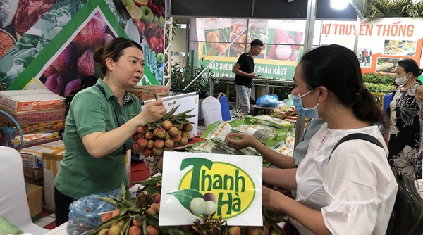 30 doanh nghiệp tham gia Tuần hàng trái cây, nông sản các tỉnh, thành phố tại Hà Nội năm 2022