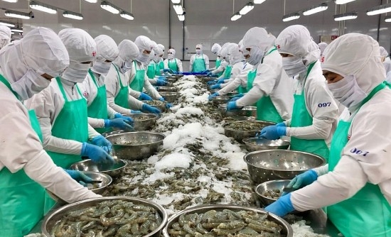 Đẩy mạnh xúc tiến thương mại, mở rộng thị trường xuất khẩu nông - lâm - thủy sản Việt Nam