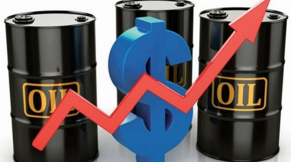 Giá xăng dầu hôm nay 03/06: Tiếp tục tăng gần 1%