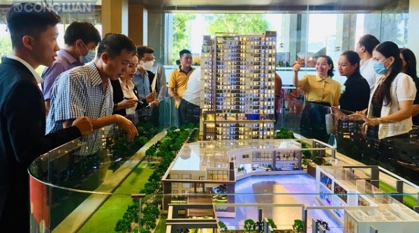 Bình Định: Giới thiệu dự án căn hộ hạng sang 5 sao