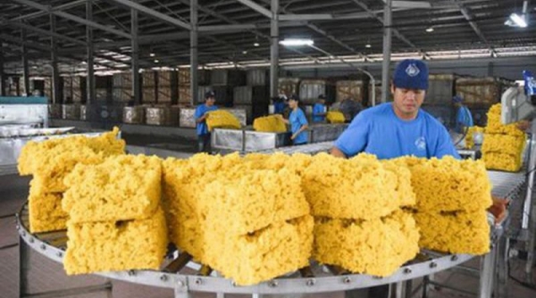 Xuất khẩu cao su của Việt Nam trong tháng 05/2022 ước đạt 181 triệu USD