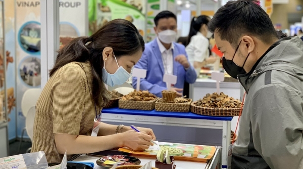 Cơ hội cho doanh nghiệp Việt Nam tại Triển lãm Seoul Food 2022