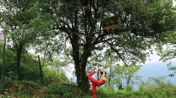 Ngày Quốc tế Yoga lần thứ 8 tổ chức trên đỉnh Fansipan, thị xã Sa Pa