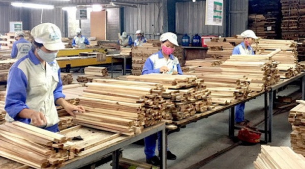 Việt Nam duy trì thặng dư thương mại gỗ với thị trường Trung Quốc