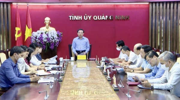 Quảng Ninh xem xét thi hành kỷ luật Phó Chủ tịch UBND tỉnh liên quan đến vụ Việt Á
