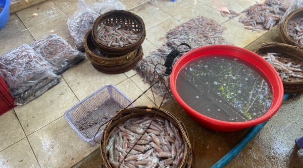 Lâm Đồng: Thu giữ gần 180 kg thực phẩm không rõ nguồn gốc xuất xứ