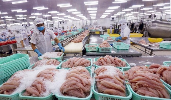 Nhật Bản là thị trường "khó tính" nhưng xuất khẩu thủy sản của Việt Nam vẫn tăng cao