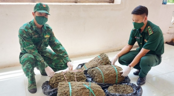 Thu giữ 19 kg cần sa từ Campuchia về Việt Nam