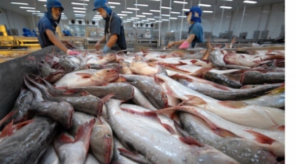Việt Nam đứng vị trí thứ hai cung cấp cá ngừ cho Canada