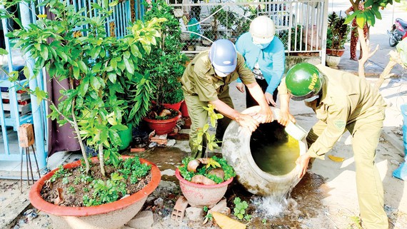 TP. Hồ Chí Minh mở chiến dịch tổng vệ sinh phòng sốt xuất huyết