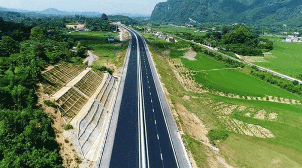 Lâm Đồng xin chuyển đổi hơn 186ha rừng làm cao tốc Tân Phú - Bảo Lộc