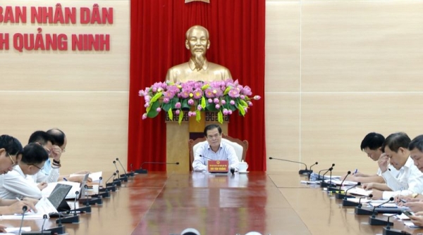 Quảng Ninh không khuyên khích tăng thu tiền sử dụng đất