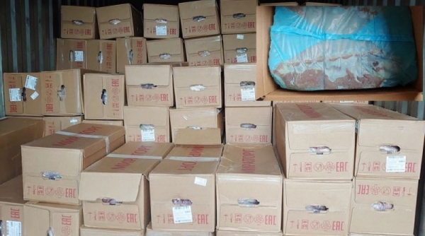 Phát hiện xe tải vận chuyển gần 16 tấn thịt heo không rõ nguồn gốc tại An Giang