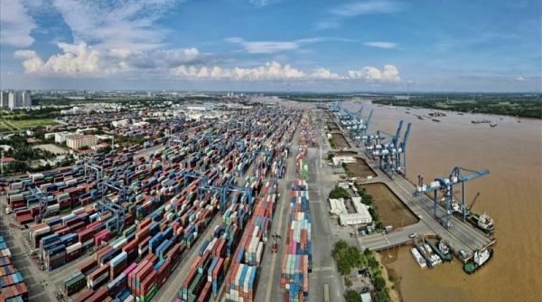 TP. Hồ Chí Minh kiến nghị đầu tư cảng trung chuyển quốc tế tại huyện Cần Giờ