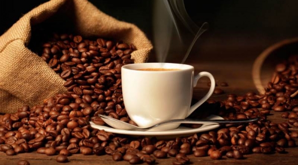 Giá cà phê hôm nay 03/07: Thị trường nội địa giảm 600 đồng/kg trong tuần qua