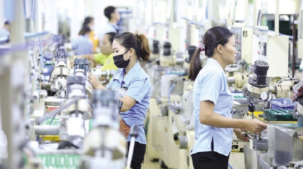 Tổ chức Tuần giao thương trực tuyến giữa các doanh nghiệp sản xuất công nghiệp Hàn Quốc với các nhà nhập khẩu Việt Nam