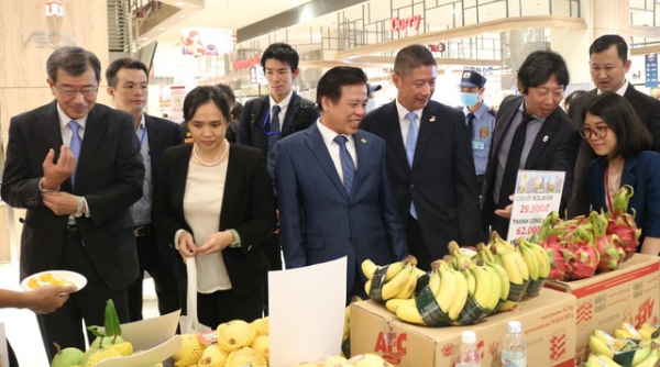 RCEP mở cơ hội cho doanh nghiệp Việt xuất khẩu vào thị trường Nhật Bản
