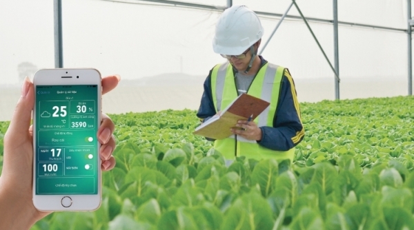 Thúc đẩy sản xuất nông nghiệp ứng dụng công nghệ cao