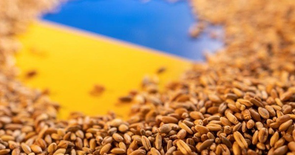 Nga-Ukraine chuẩn bị ký kết thỏa thuận liên quan đến vận chuyển ngũ cốc