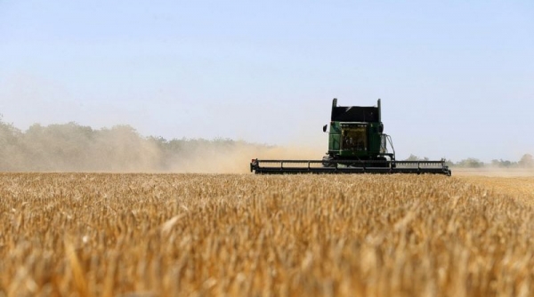 Số phận 60 triệu tấn ngũ cốc trong thỏa thuận lương thực giữa Nga-Ukraine